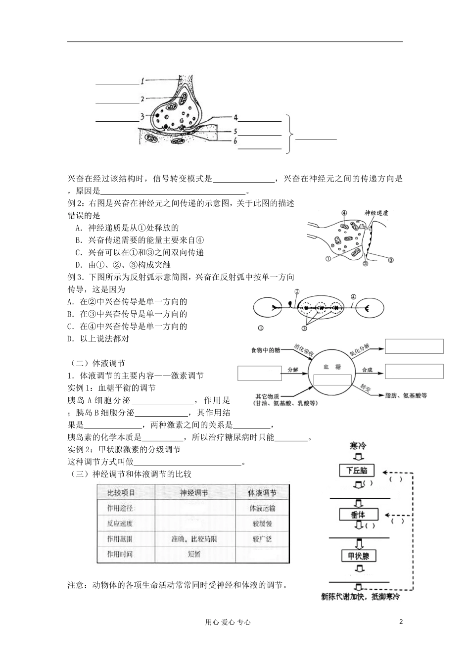 江苏省2013高二生物增效减负学案 生命活动的调节专题复习 必修3_第2页