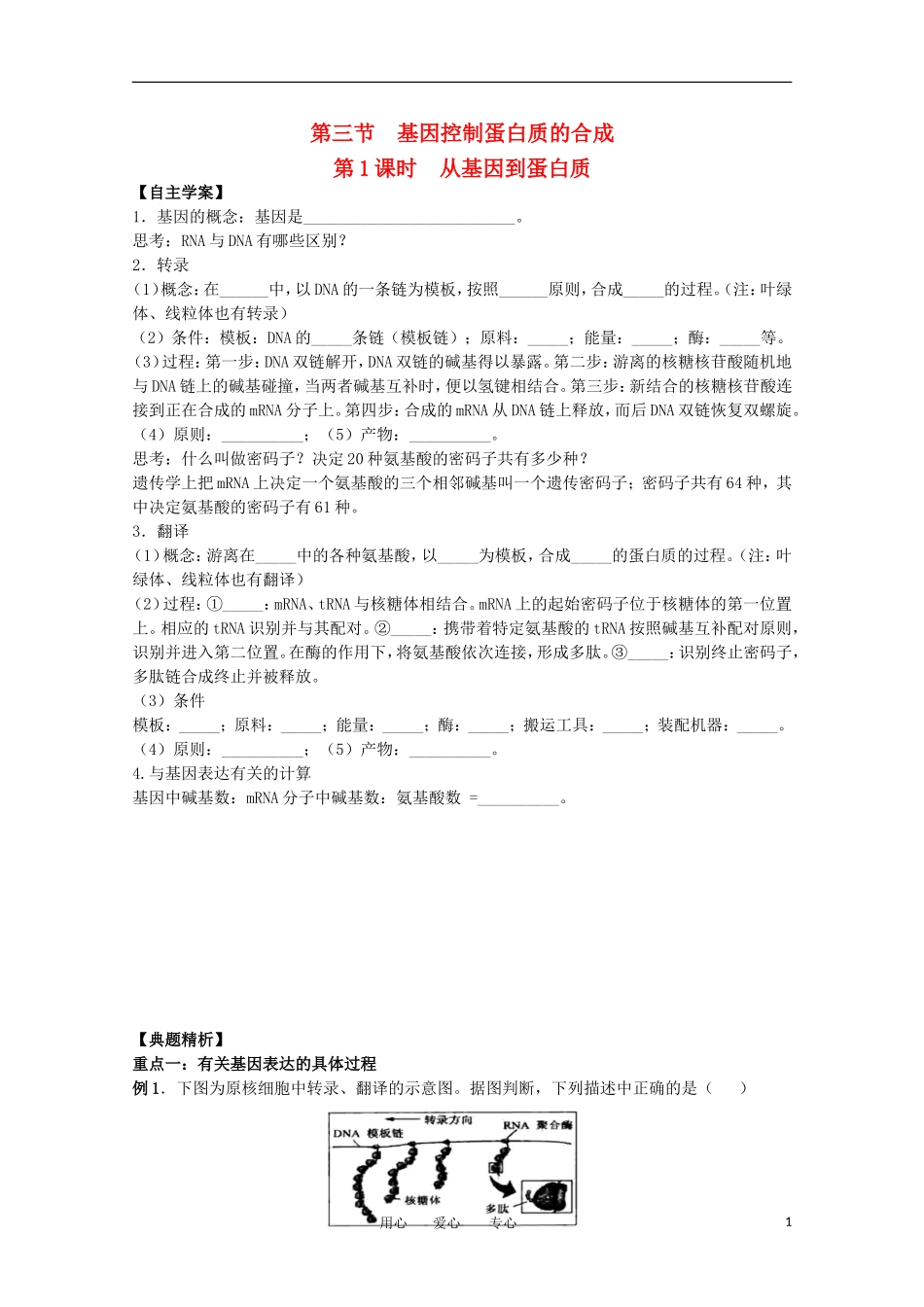 江苏淮阴中学2012年高中生物 4.3《从基因到蛋白质》1学案 苏教版必修2_第1页
