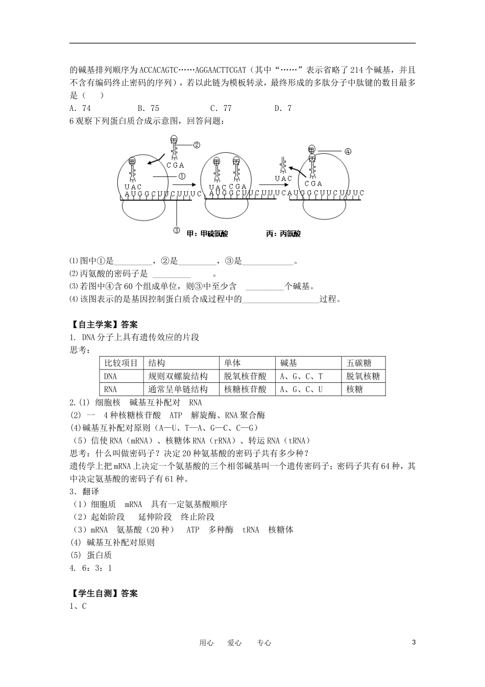江苏淮阴中学2012年高中生物 4.3《从基因到蛋白质》1学案 苏教版必修2_第3页