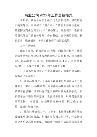 商业公司2025年工作总结格式