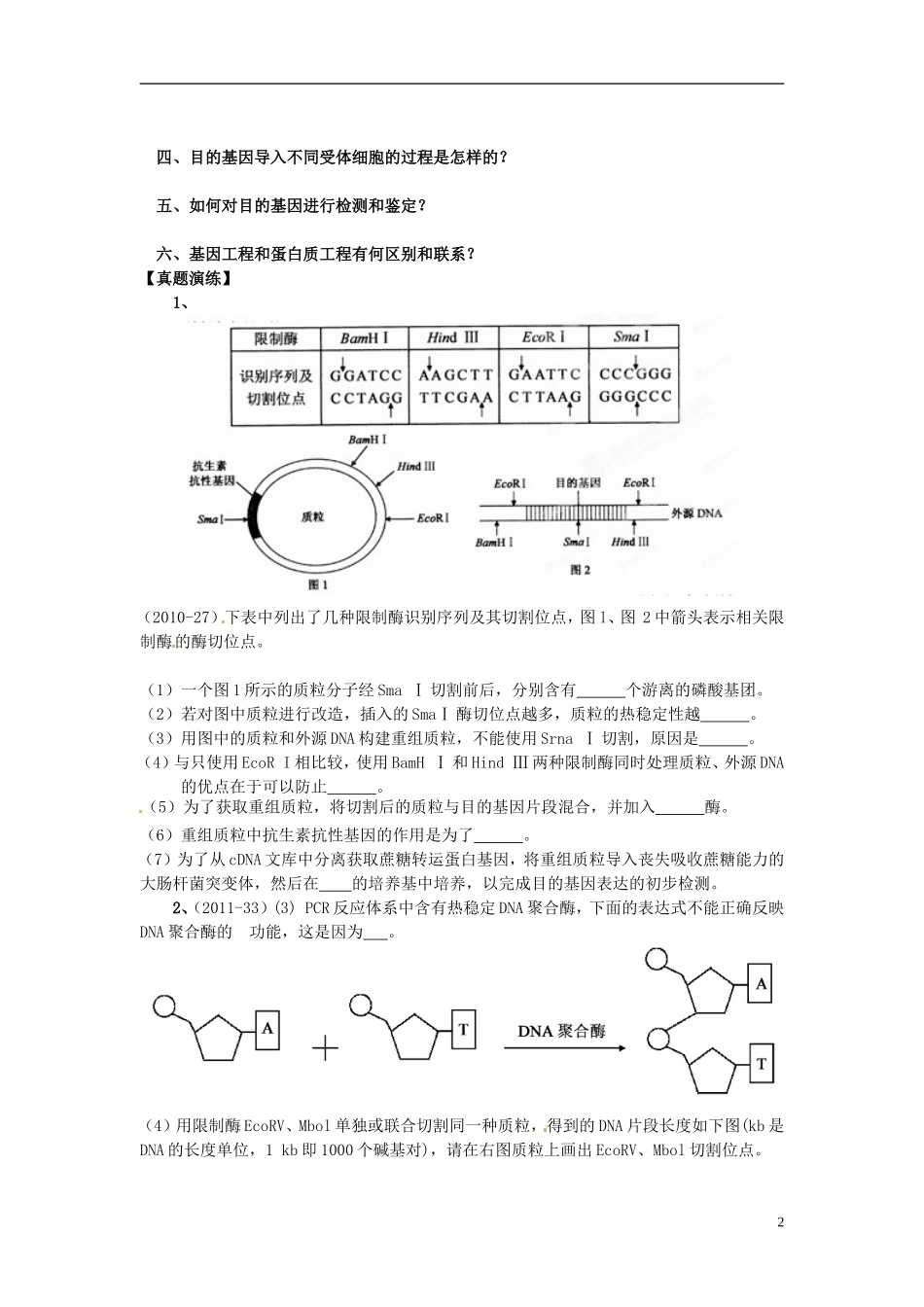 江苏省如东县马塘中学2013届高三生物二轮复习 专题四第2部份遗传的物质基础和基因工程（二）学案 苏教版 _第2页