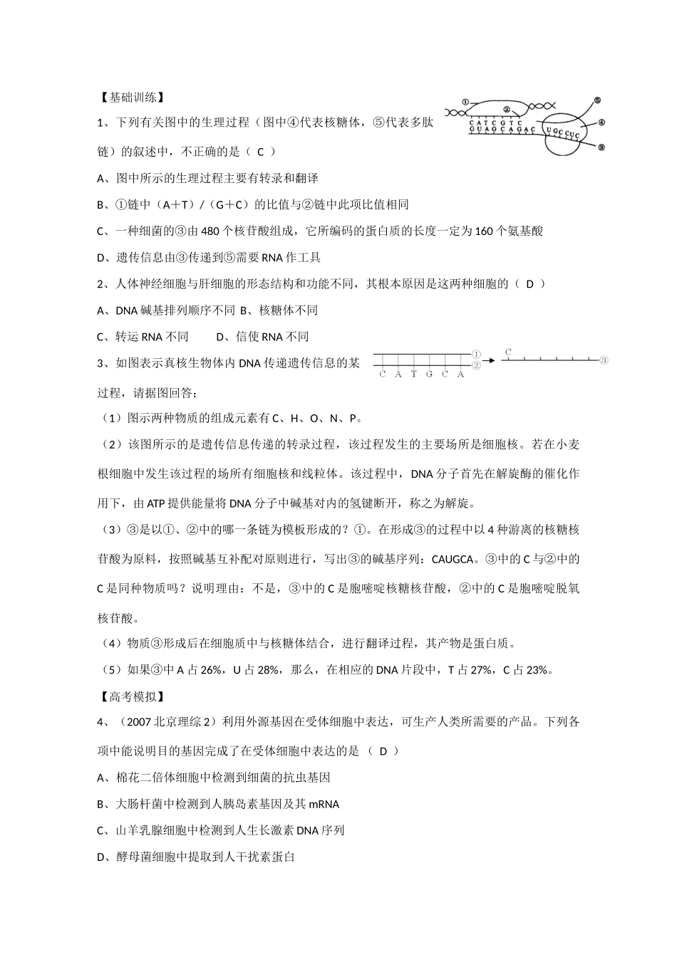 江苏省2010届高三生物二轮专题教案：基因的表达新人教版_第3页