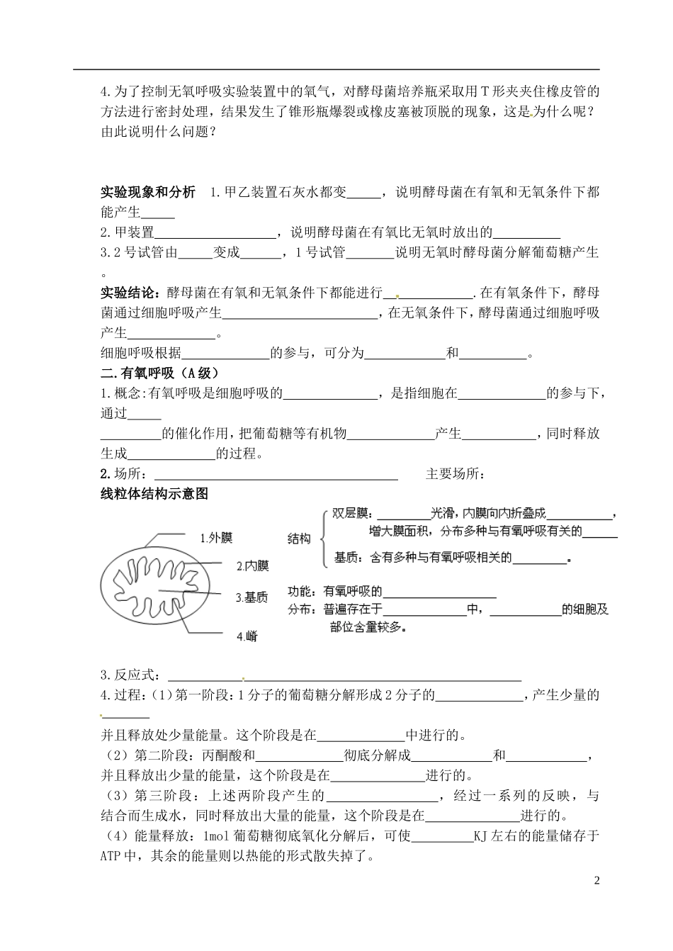 江苏省如东县马塘中学2013届高三生物一轮复习 ATP的主要来源 细胞呼吸学案 苏教版_第2页