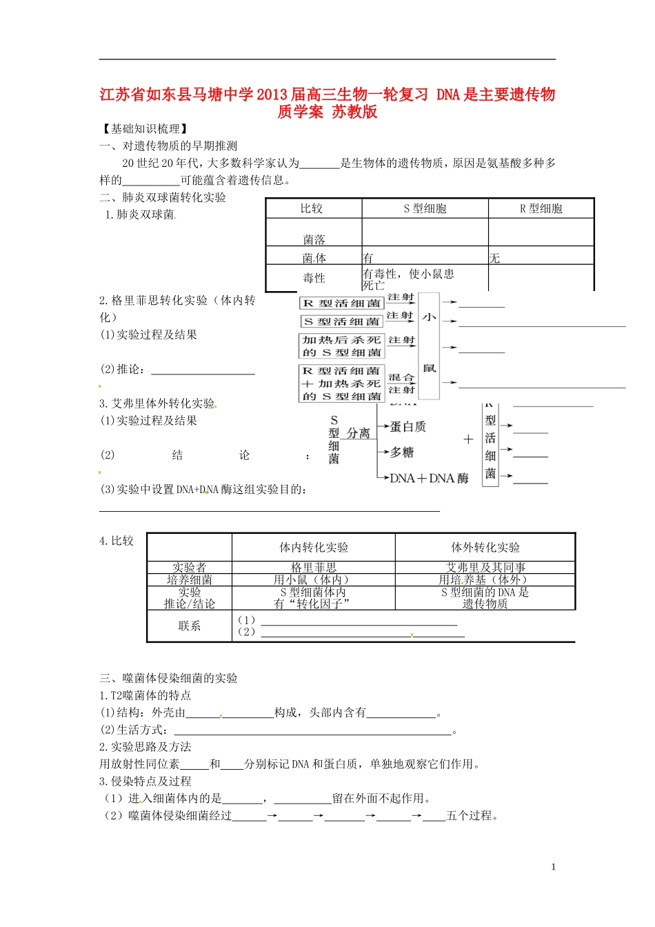 江苏省如东县马塘中学2013届高三生物一轮复习 DNA是主要遗传物质学案 苏教版_第1页