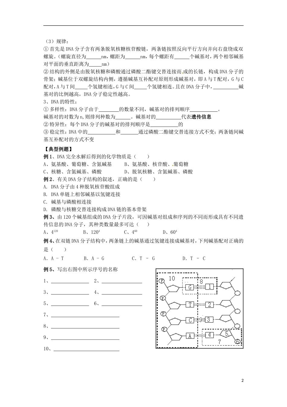 江苏省宿迁市宿豫区实验高级中学2014年高中生物 4.2 DNA的结构和DNA的复制（第一课时）导学案 苏教版必修2_第2页