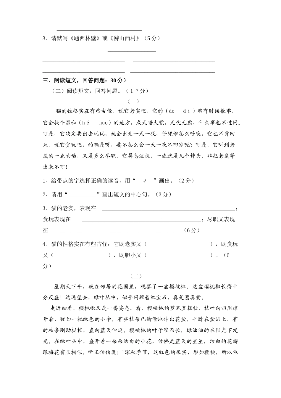 四年级上册语文期中试卷_第2页