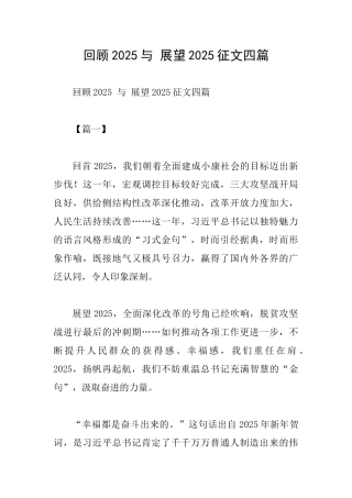 回顾2025与展望2025征文四篇