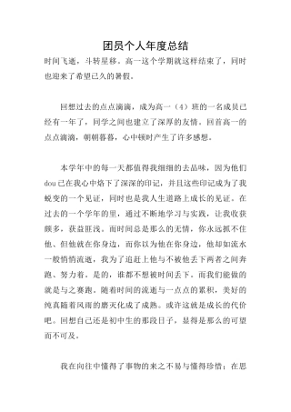 团员个人年度总结