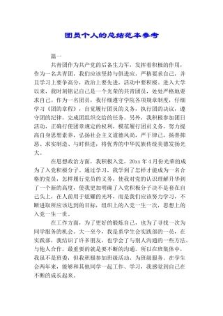 团员个人的总结范本参考