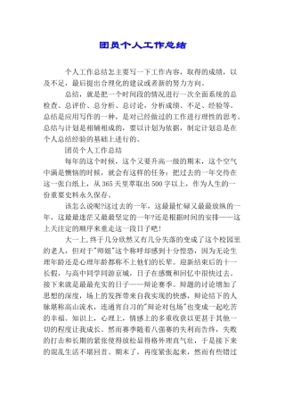 团员个人工作总结