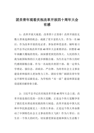 团员青年观看庆祝改革开放四十周年大会有感