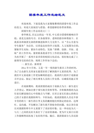团委年度工作总结范文