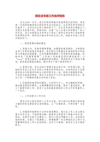 团总支年度工作自评报告