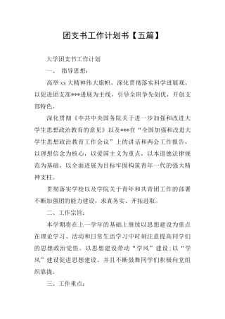 团支书工作计划书