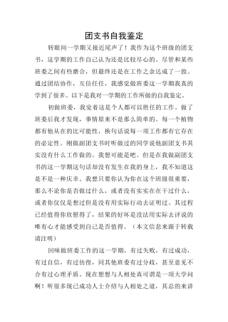团支书自我鉴定