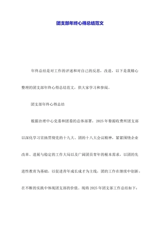 团支部年终心得总结范文