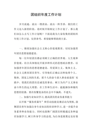 团组织年度工作计划