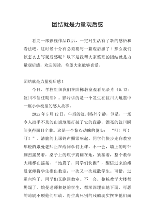 团结就是力量观后感