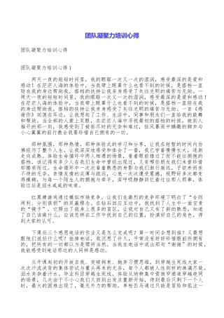 团队凝聚力培训心得