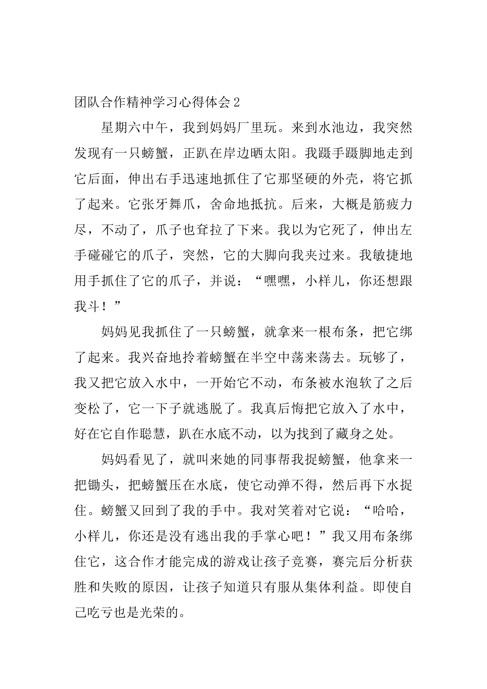 团队合作精神学习心得体会_第3页