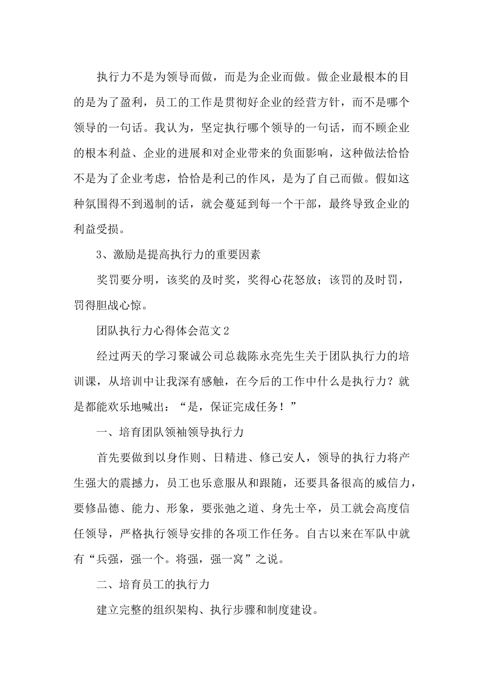 团队执行力心得体会范文_第2页