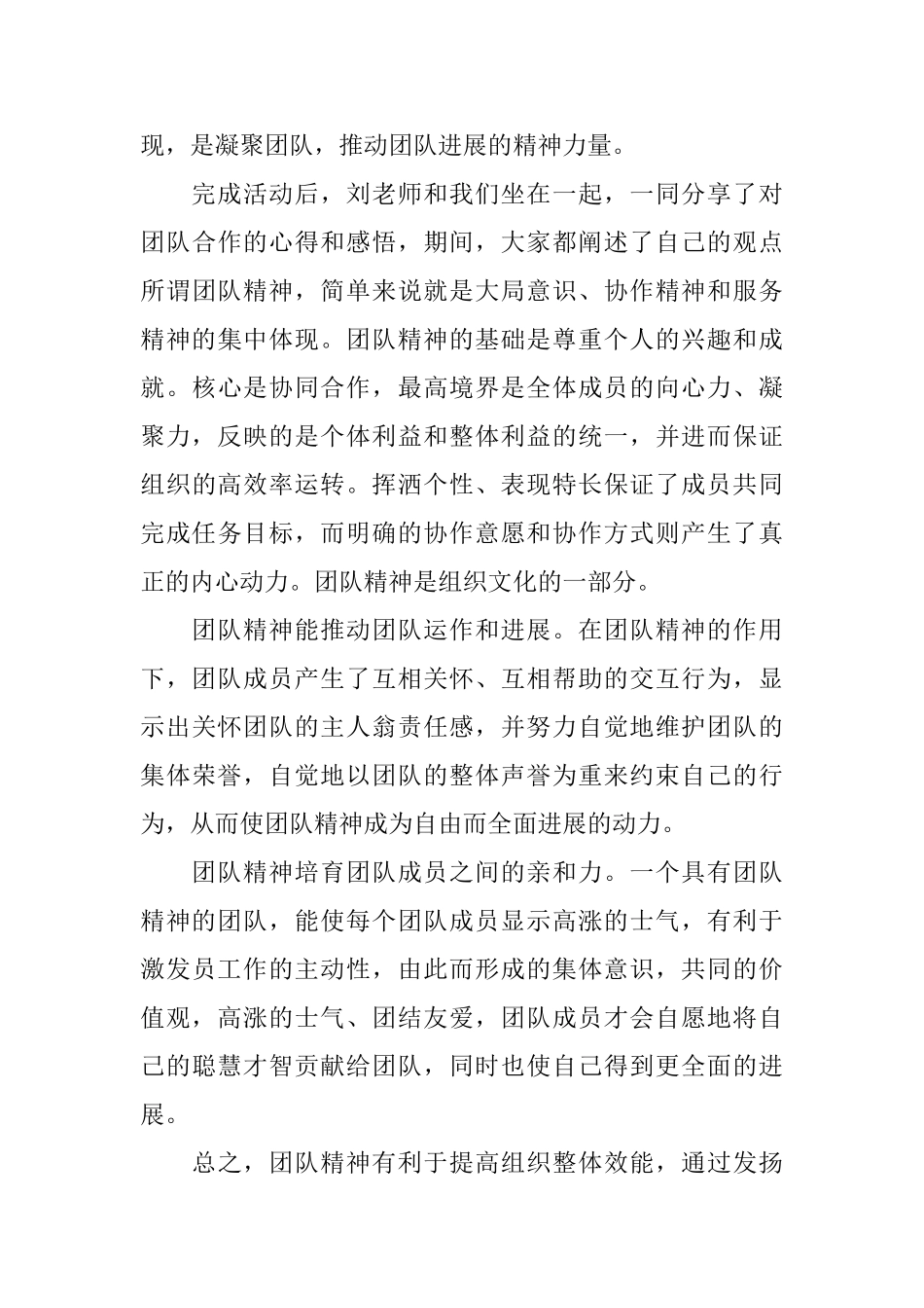 团队精神心得体会10篇_第3页