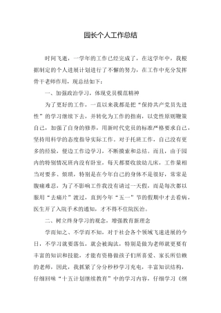 园长个人工作总结