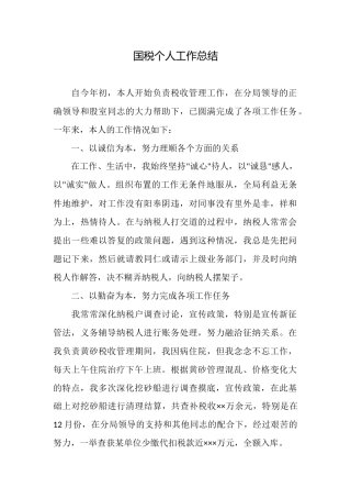 国税个人工作总结