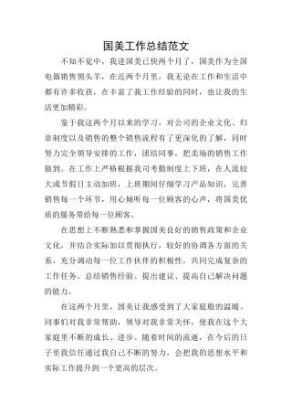 国美工作总结范文