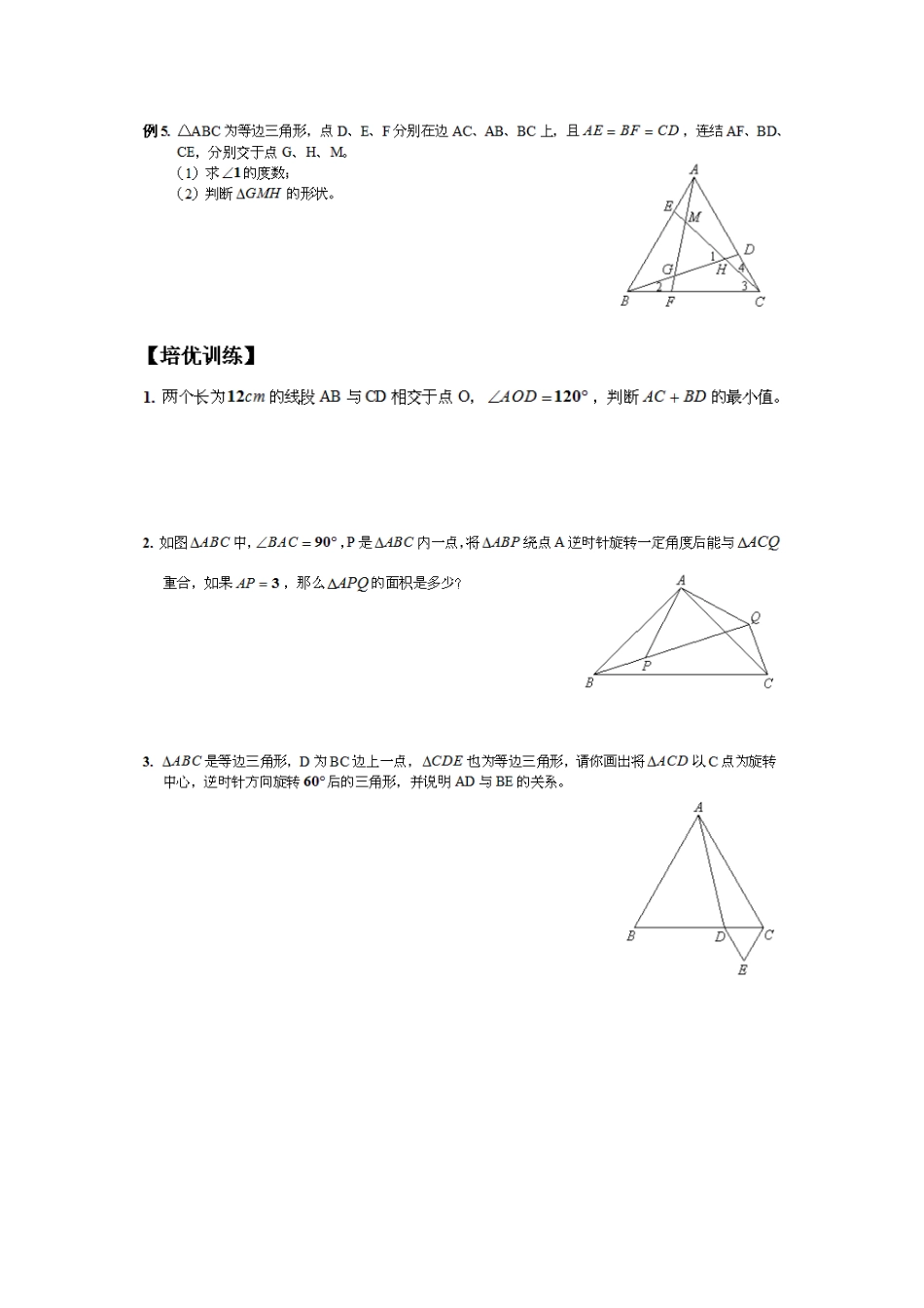 图形的平移与旋转培优讲义练习_第2页
