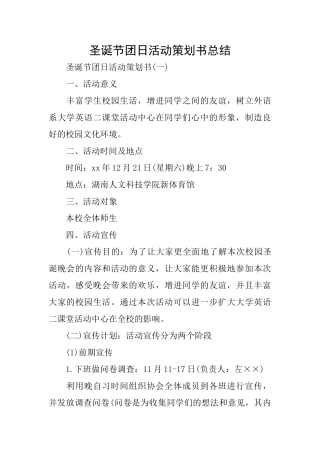 圣诞节团日活动策划书总结