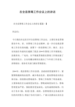 在全县禁毒工作会议上的讲话