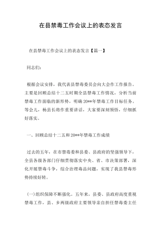 在县禁毒工作会议上的表态发言
