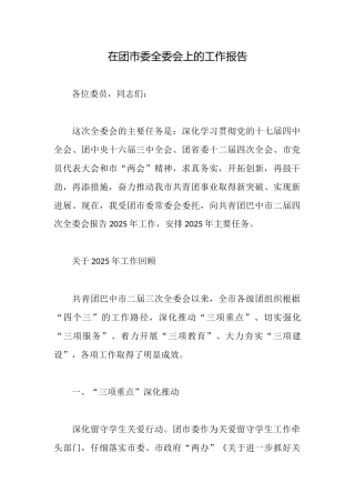 在团市委全委会上的工作报告