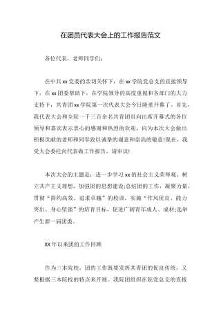 在团员代表大会上的工作报告范文