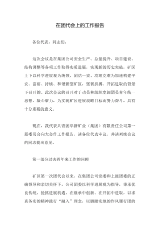 在团代会上的工作报告