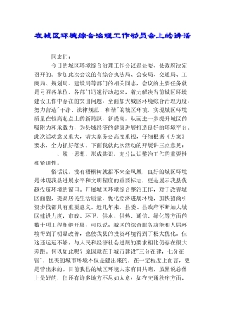 在城区环境综合治理工作动员会上的讲话