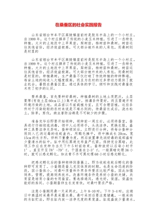 在桑蚕区的社会实践报告