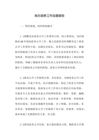 地方政务工作自查报告