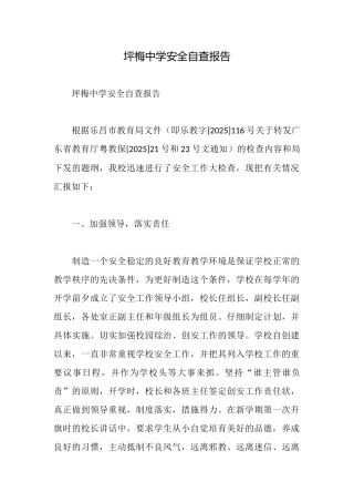 坪梅中学安全自查报告