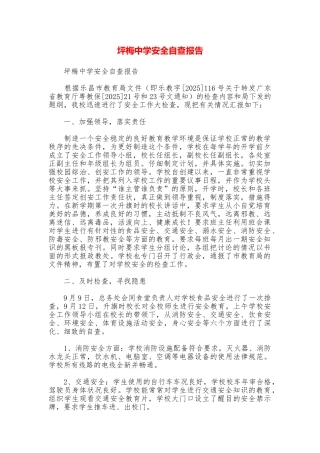 坪梅中学安全自查报告