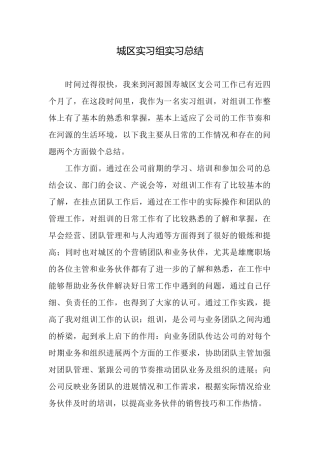 城区实习组实习总结