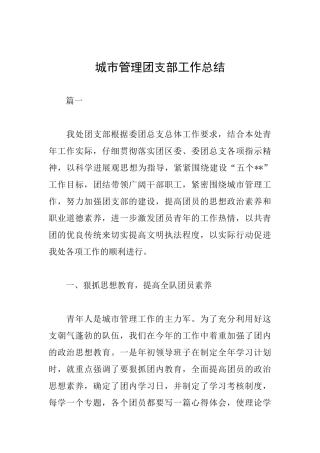 城市管理团支部工作总结