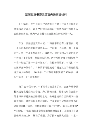 基层党支书带头致富先进事迹材料