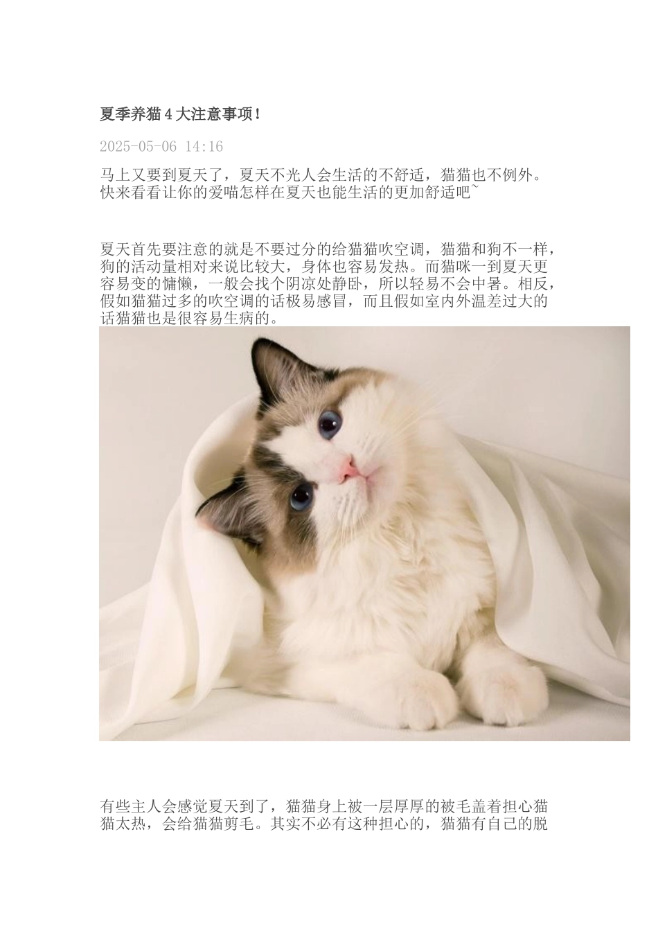 夏季养猫4大注意事项!_第1页