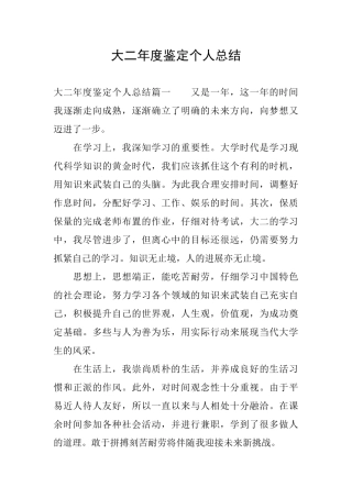 大二年度鉴定个人总结