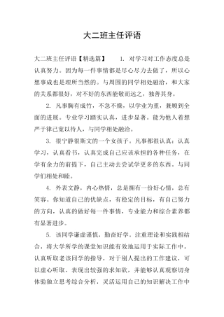 大二班主任评语