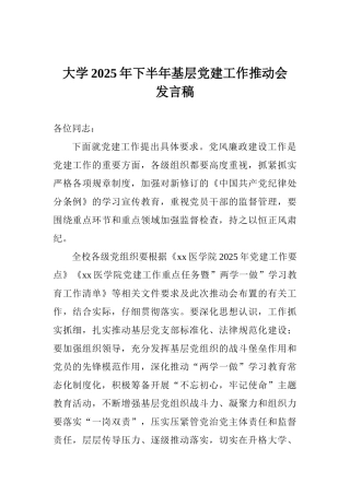 大学2025年下半年基层党建工作推进会发言稿