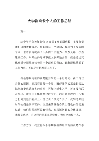 大学副班长个人的工作总结