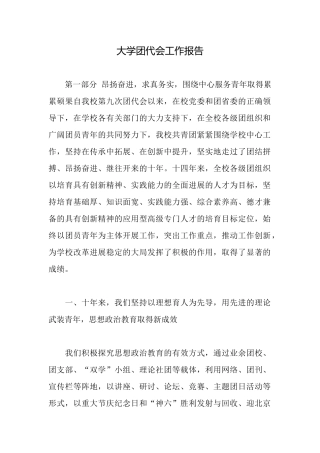 大学团代会工作报告